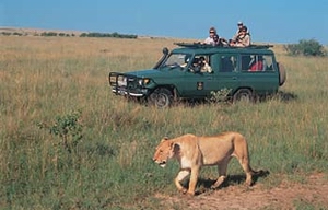 Tourist Excursion Maasai Mara